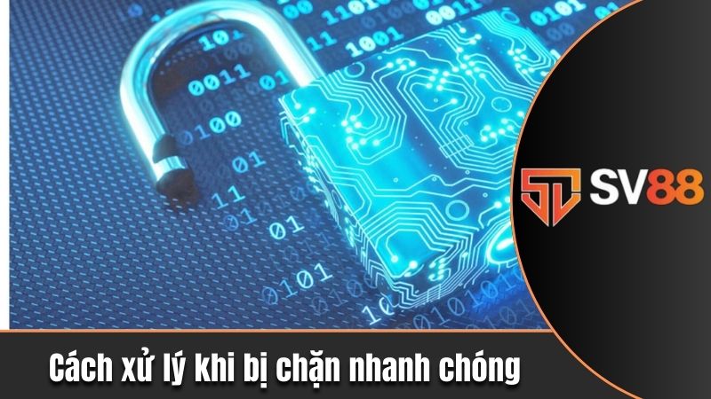 Cập Nhật Link Vào SV88 Chính Thức, Mới Nhất Thị Trường