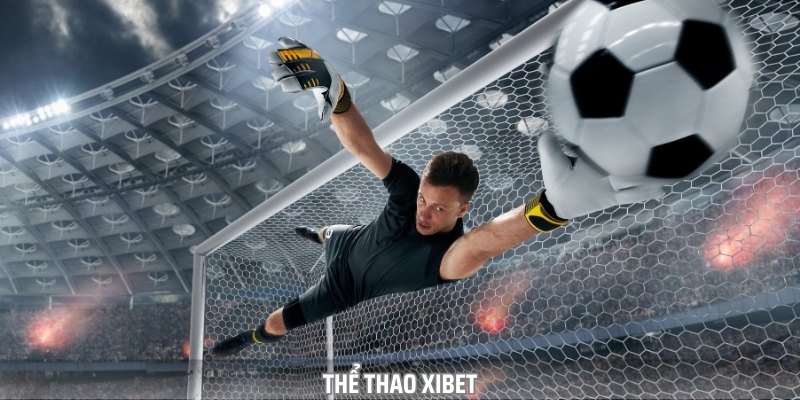 Thể Thao Xibet – Cá Cược Online Xanh Chín, Uy Tín Mỗi Ngày