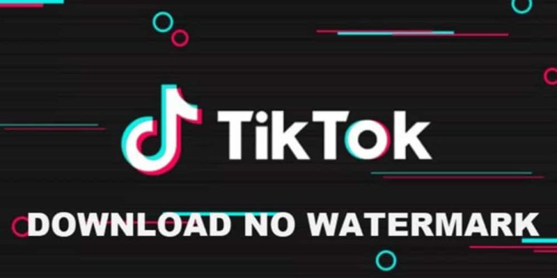 Download TikTok Videos Quickly and in High Quality