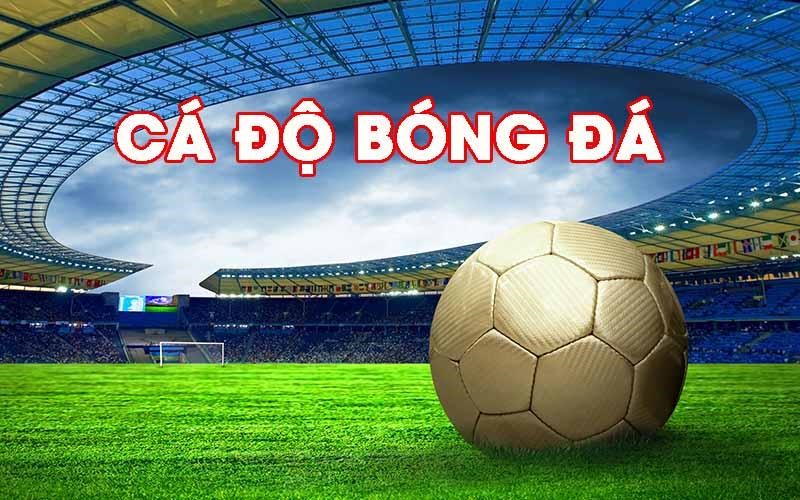How to Choose a Reputable Sports Betting Site